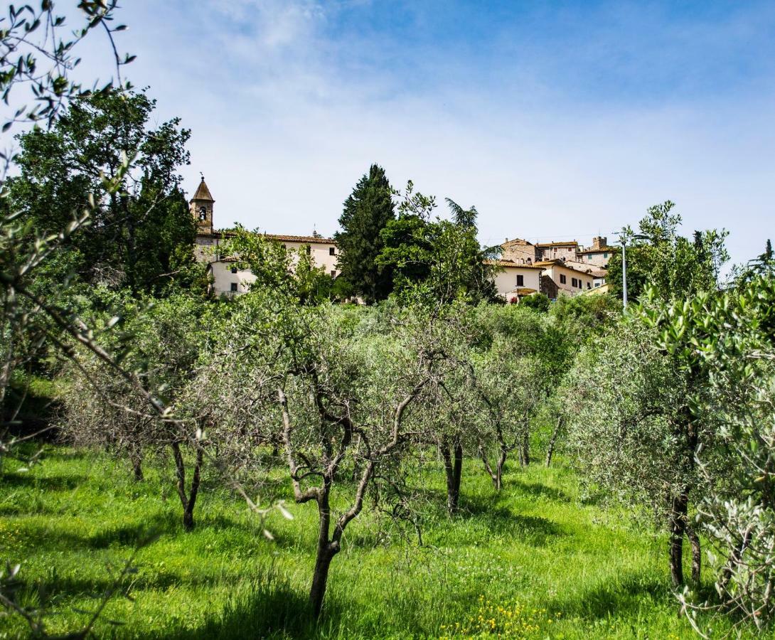 Tuscan Retreat Orciatico Eksteriør bilde